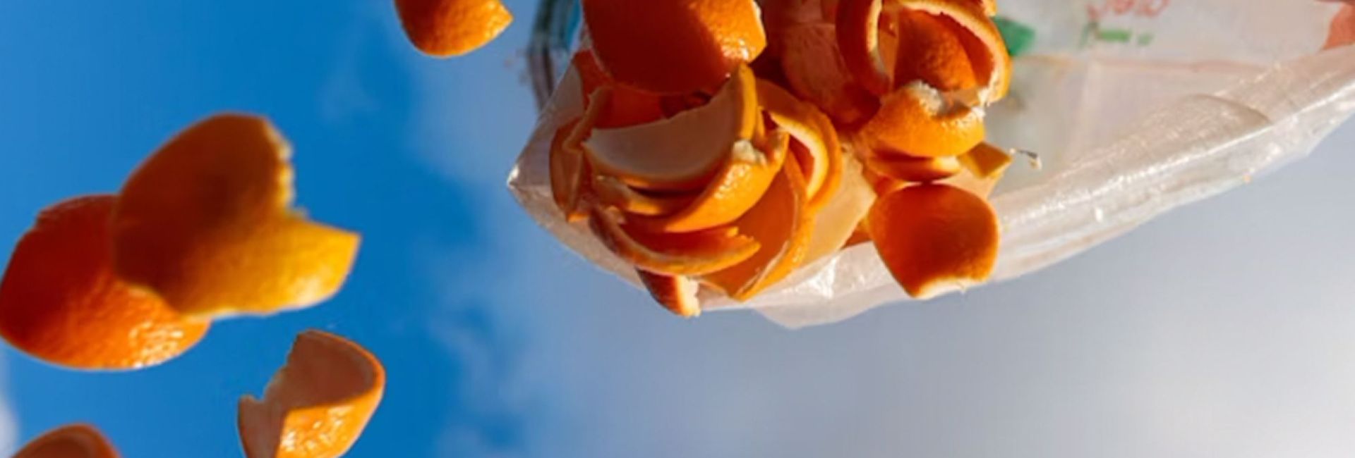 پایداری و کاهش ضایعات غذایی