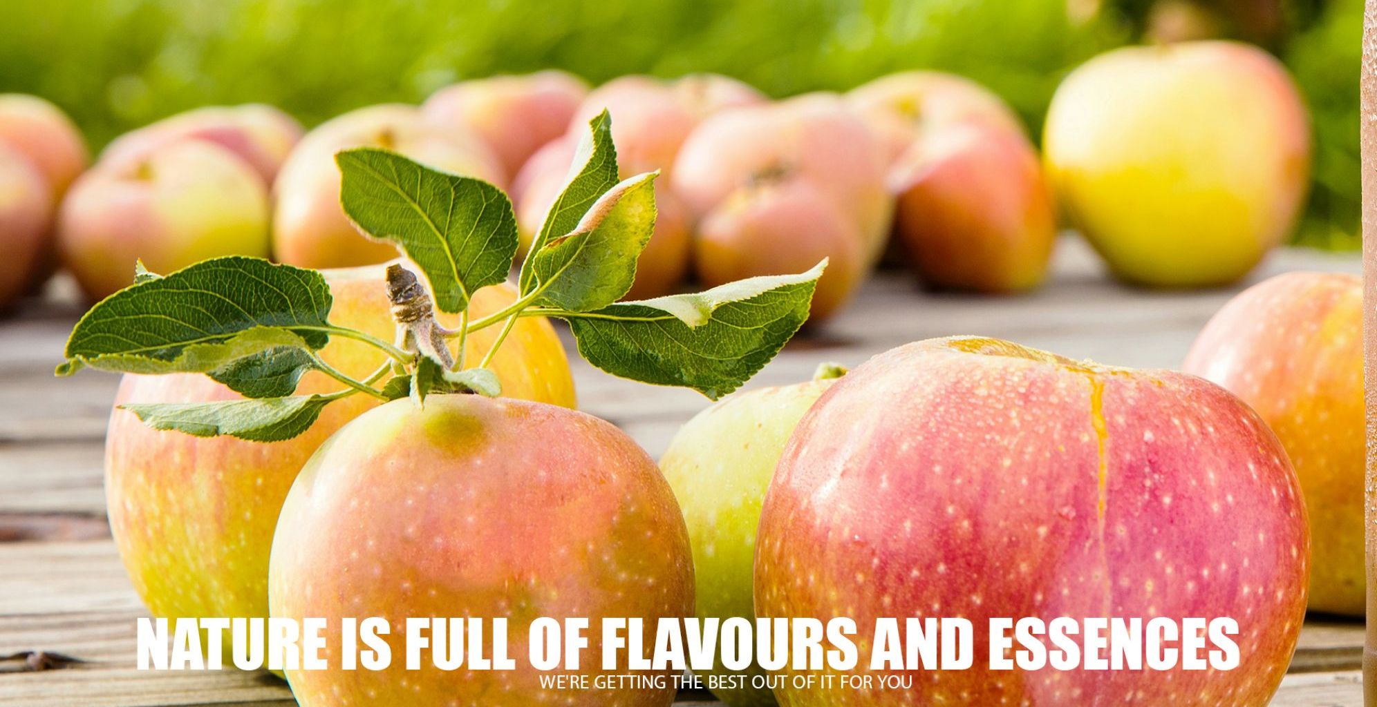 Various organic and artificial edible colors
