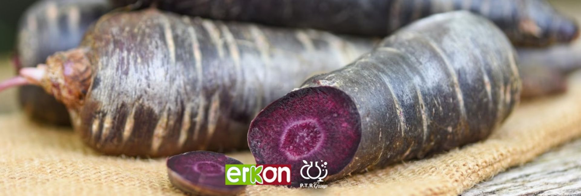 اطلاعیه مهم کنسانتره هویج سیاه (Black Carrot) Erkon